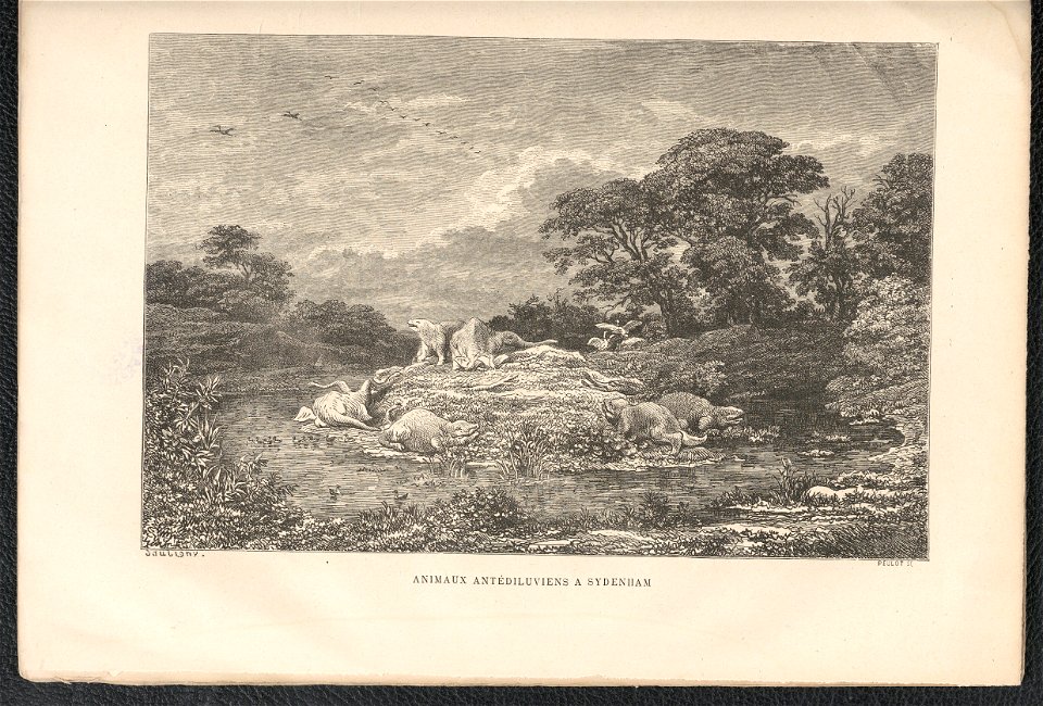 Histoire des jardins anciens et modernes - 1re serie 1887 (126726694)