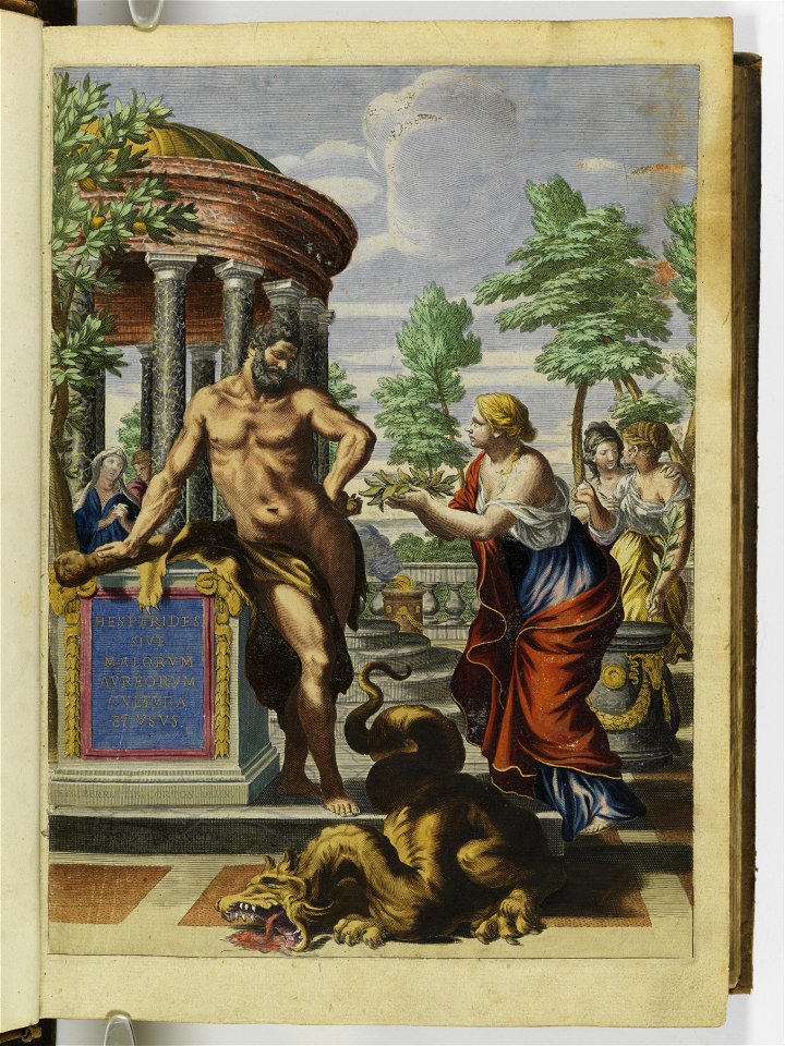 Hesperides sive de malorvm avreorvm cvltvra et vsv libri quatuor 1646 (6156485)
