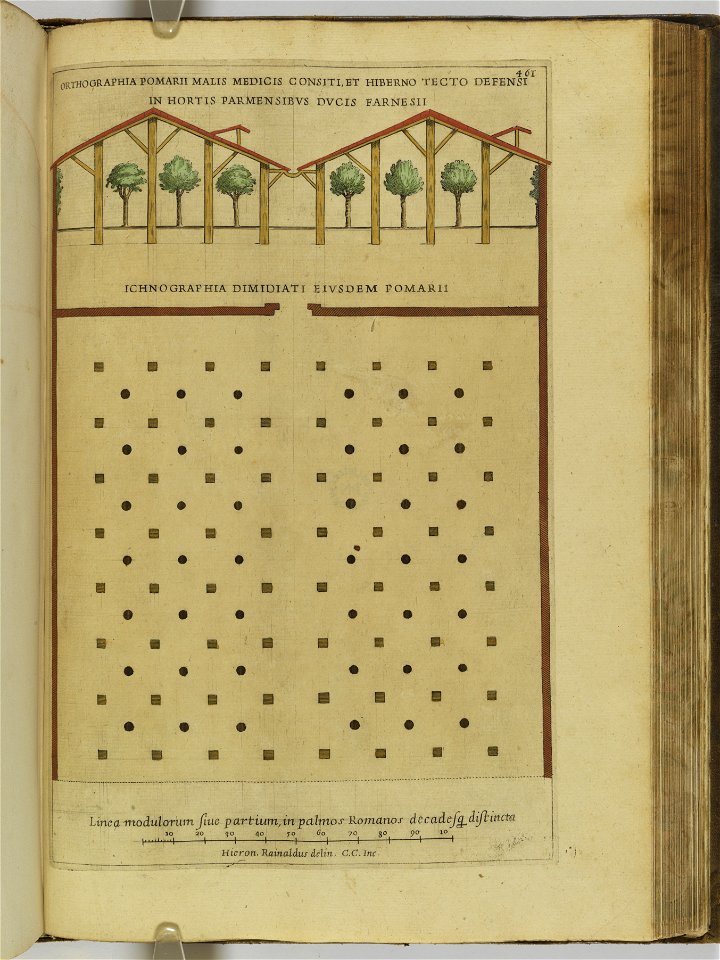 Hesperides sive de malorvm avreorvm cvltvra et vsv libri quatuor 1646 (6160534)