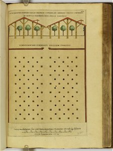 Hesperides sive de malorvm avreorvm cvltvra et vsv libri quatuor 1646 (6160534)
