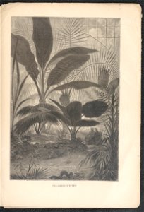 Histoire des jardins anciens et modernes - 1re serie 1887 (126726748)