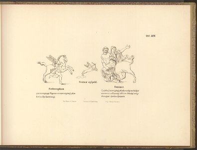 Historya powszechna konia. Atlas 1876 (67411637)