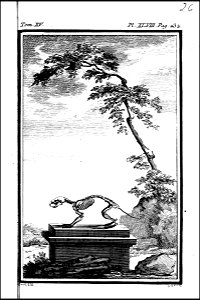 Histoire naturelle, generale et particuliere avec la description du cabinet du roi. tome quinzieme 1764 (131587628)