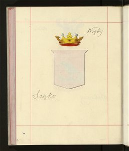 Herby Rzeczypospolitej Polskiej i W. X. Litewskiego. T. 9 (96910354)