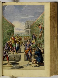 Hesperides sive de malorvm avreorvm cvltvra et vsv libri quatuor 1646 (6159527)