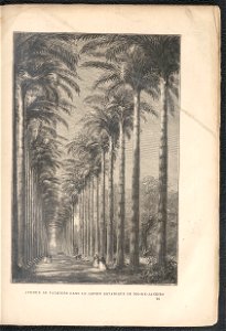 Histoire des jardins anciens et modernes - 1re serie 1887 (126726728)