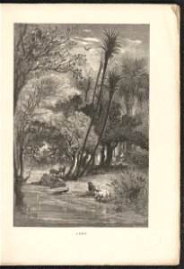 Histoire des jardins anciens et modernes - 1re serie 1887 (126725360)
