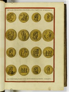 Hesperides sive de malorvm avreorvm cvltvra et vsv libri quatuor 1646 (6156682)