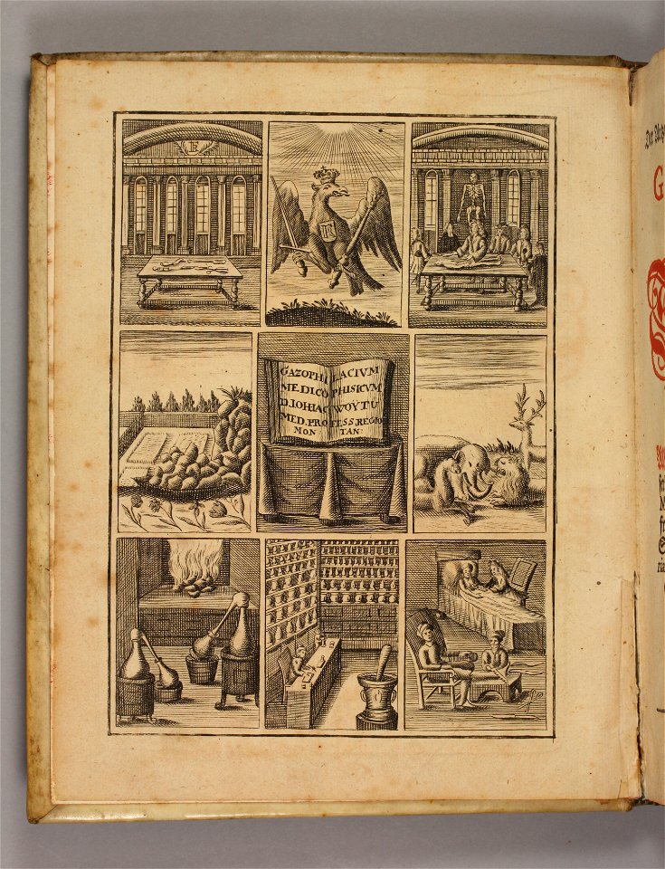 Johann Jacob Woyt 1732 Gazophylacium medico-physicum frontis