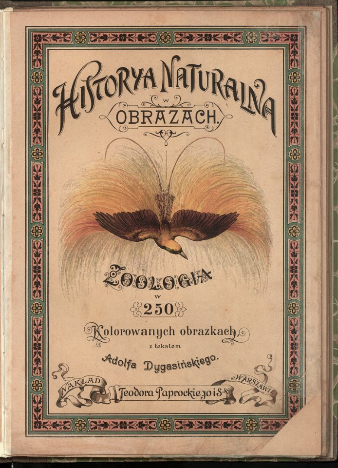 Historya naturalna w obrazach 1891 (47530733)