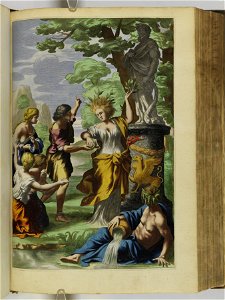 Hesperides sive de malorvm avreorvm cvltvra et vsv libri quatuor 1646 (6158836)