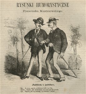 Jabłoń i jabłko Rysunki humorystyczne Franciszka Kostrzewskiego (58612)