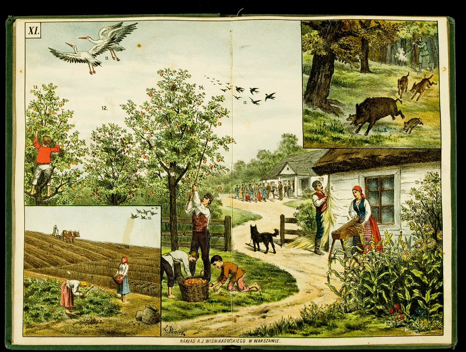 Kolorowane tablice pogladowe do nauki o rzeczach. 1 1889-1890 (398726)