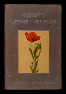 Kwiaty letnie i jesienne 1913 (97664407)