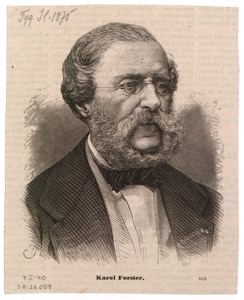 Karol Forster 1875 (815565)