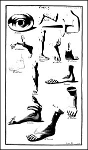 L'antiquite expliquee et representee en figures. T. 2 p. 1 1719 (131058835)