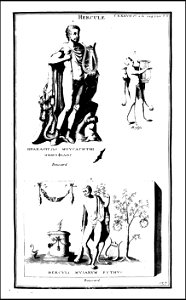 L'antiquite expliquee et representee en figures. T. 1 1719 (131018325)