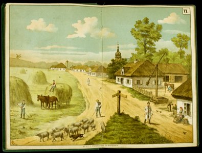 Kolorowane tablice pogladowe do nauki o rzeczach. 1 1889-1890 (398667)