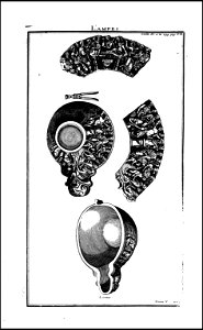 L'antiquite expliquee et representee en figures. T. 5 1719 (130890418)