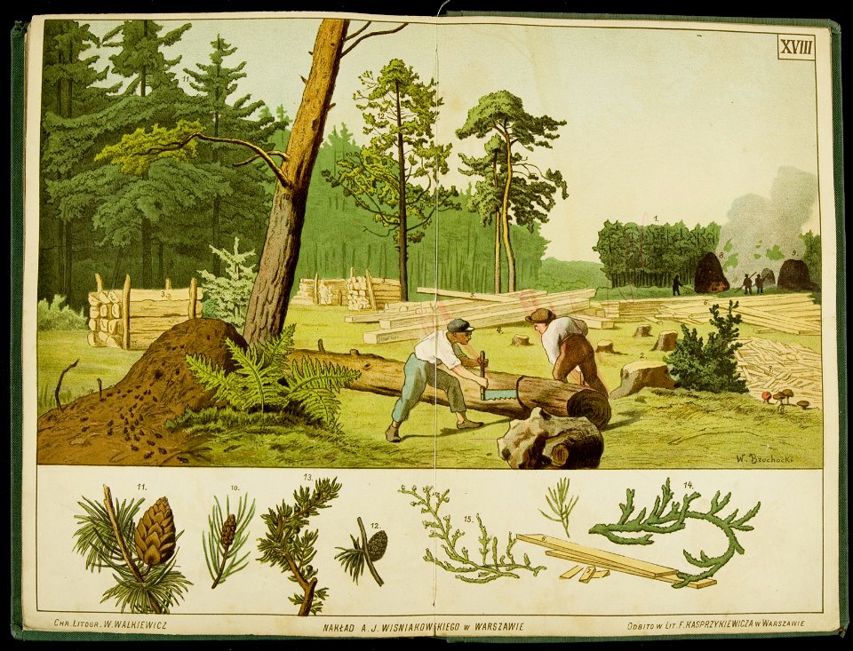 Kolorowane tablice pogladowe do nauki o rzeczach. 1 1889-1890 (398783)