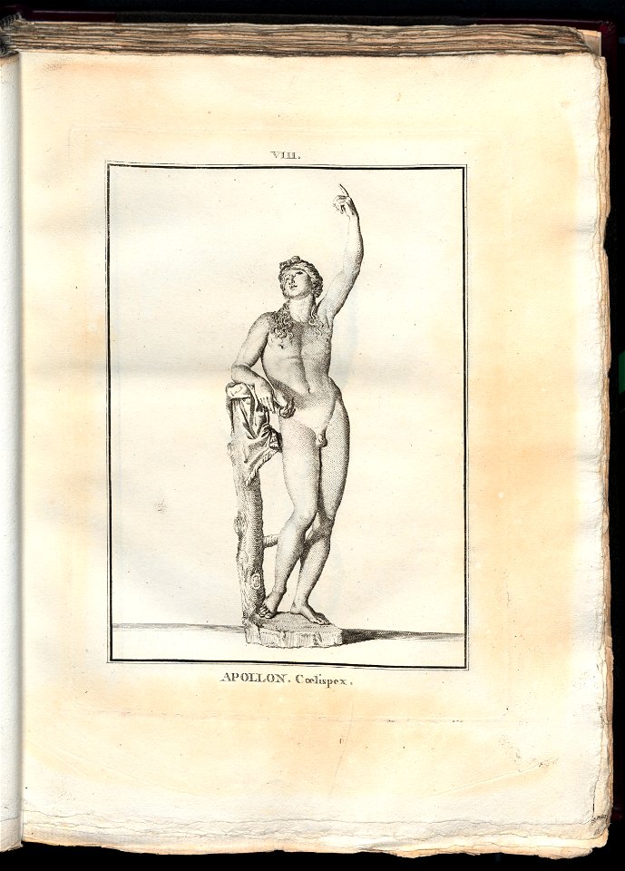 Le Museum de Florence 1787 (8162459)