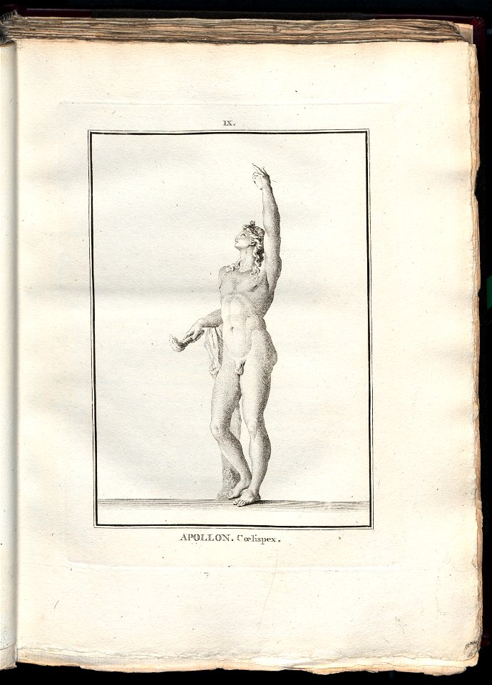 Le Museum de Florence 1787 (8162471)