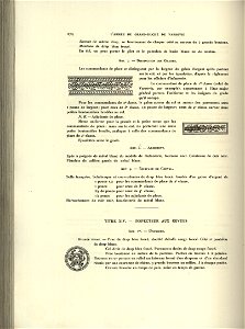 L'Armee du Duche de Varsovie 1913 (9985242)