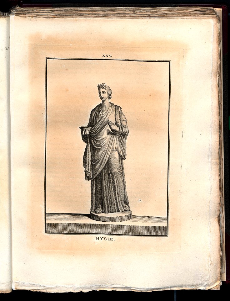 Le Museum de Florence 1787 (8162801)