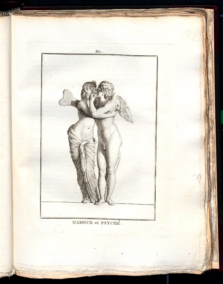 Le Museum de Florence 1787 (8162999)
