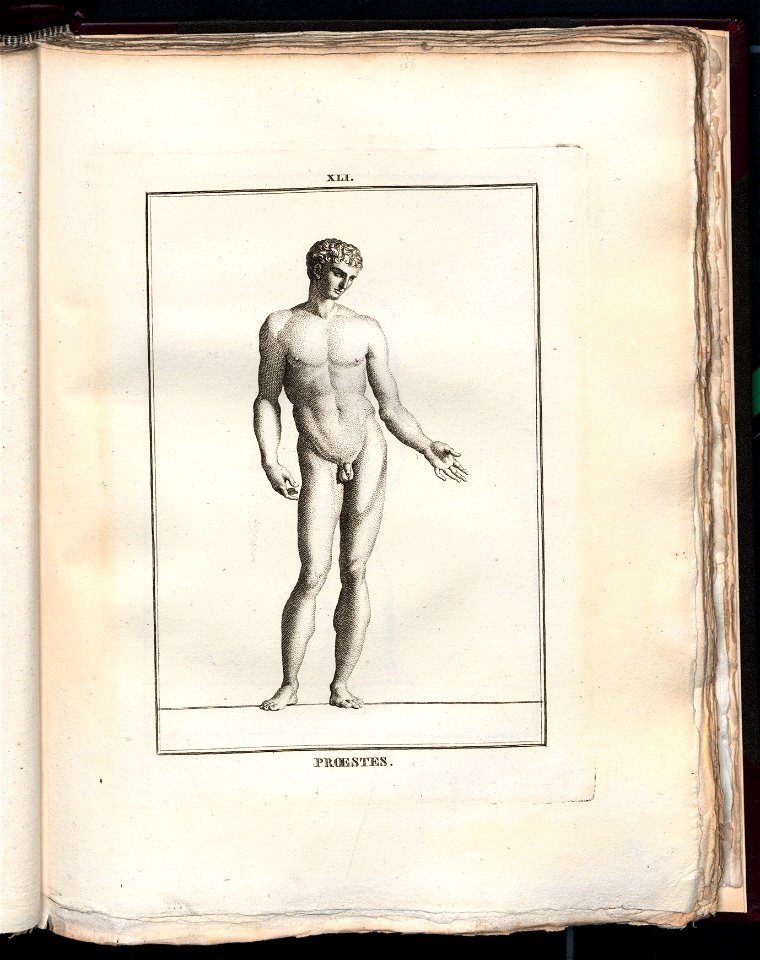 Le Museum de Florence 1787 (8163025)