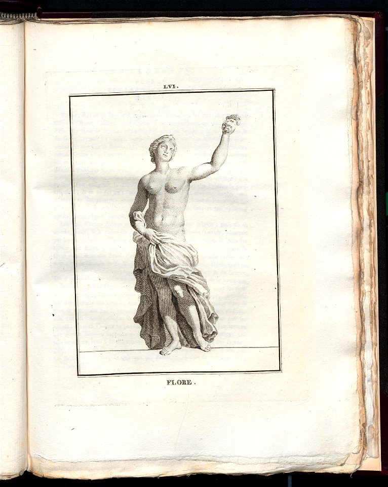 Le Museum de Florence 1787 (8163133)