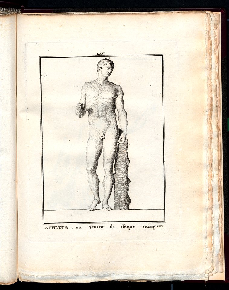 Le Museum de Florence 1787 (8163224)