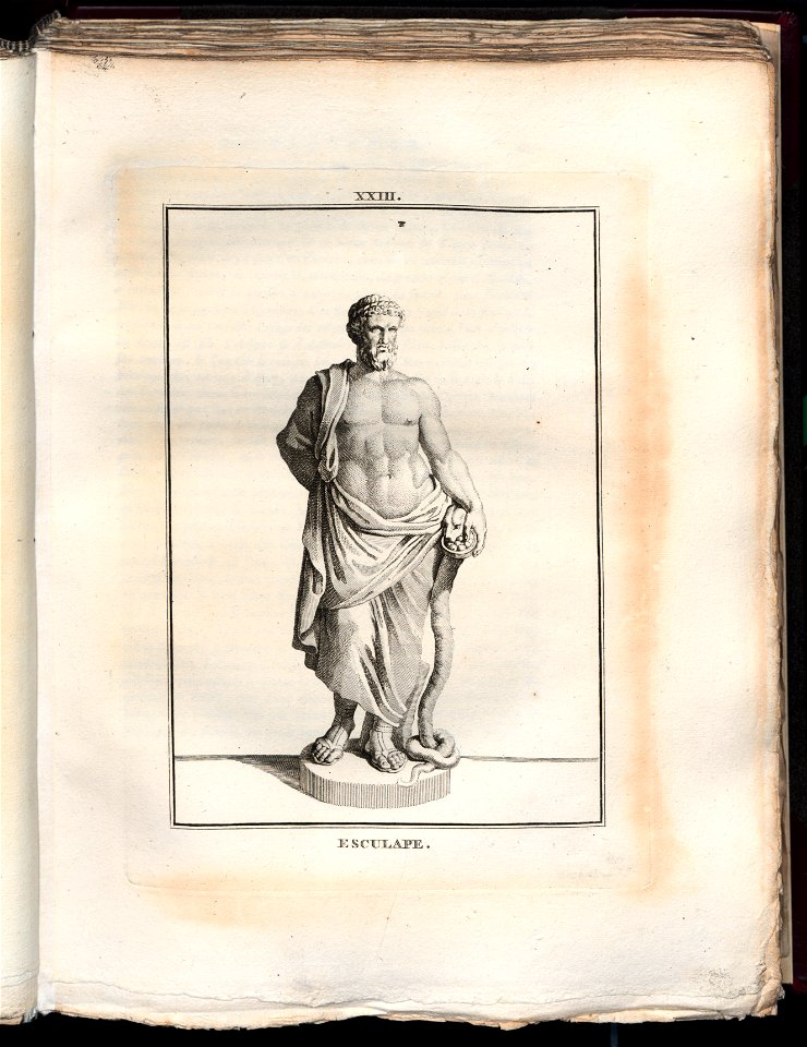 Le Museum de Florence 1787 (8162756)
