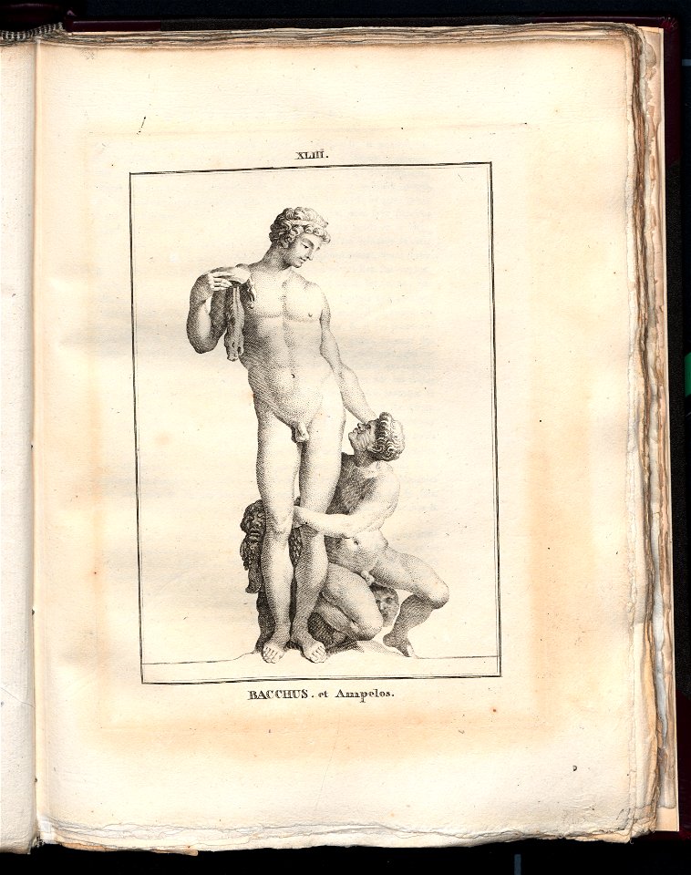 Le Museum de Florence 1787 (8163038)