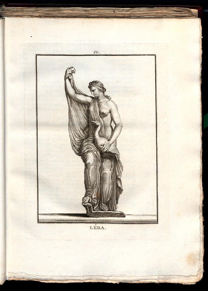 Le Museum de Florence 1787 (8162384)