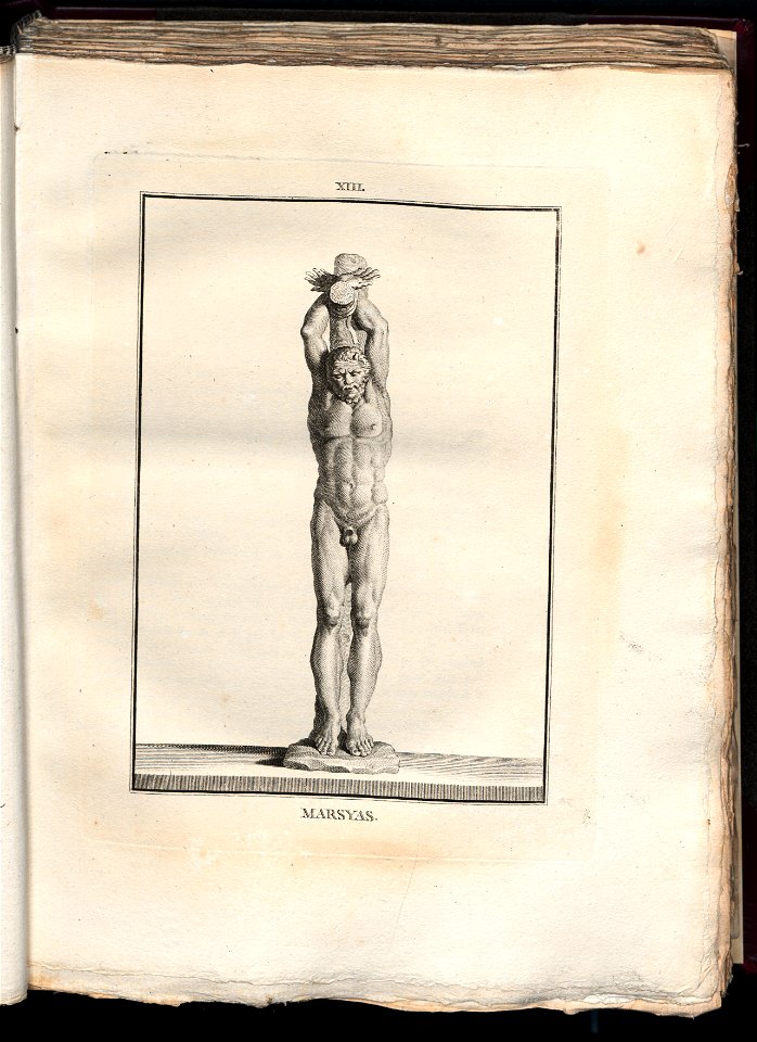 Le Museum de Florence 1787 (8162576)