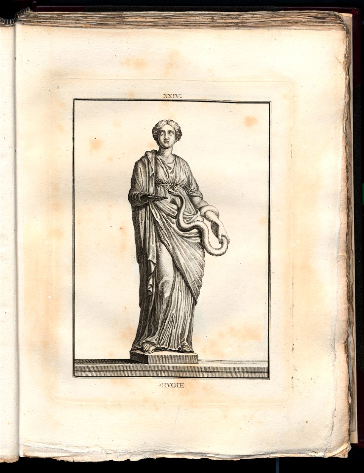 Le Museum de Florence 1787 (8162799)
