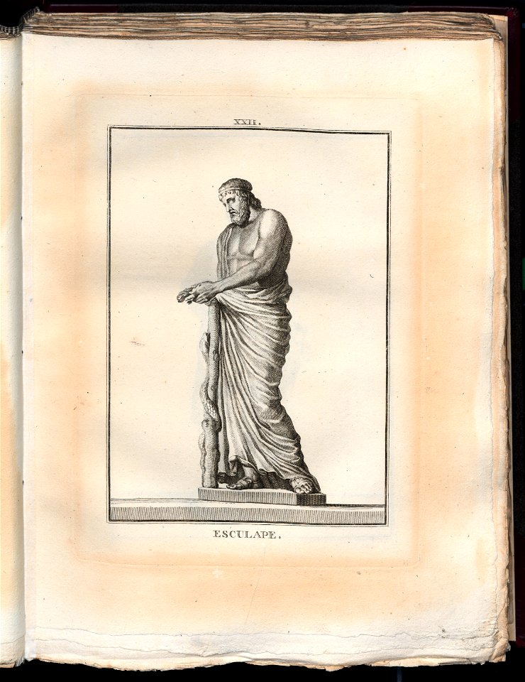 Le Museum de Florence 1787 (8162744)