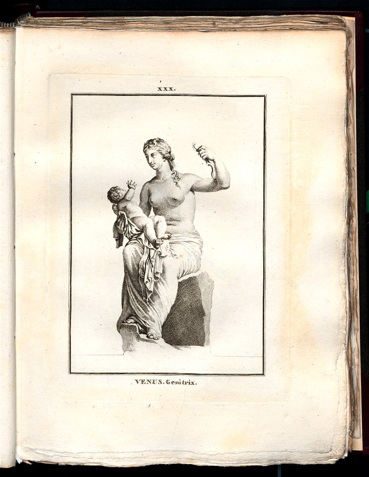 Le Museum de Florence 1787 (8162921)
