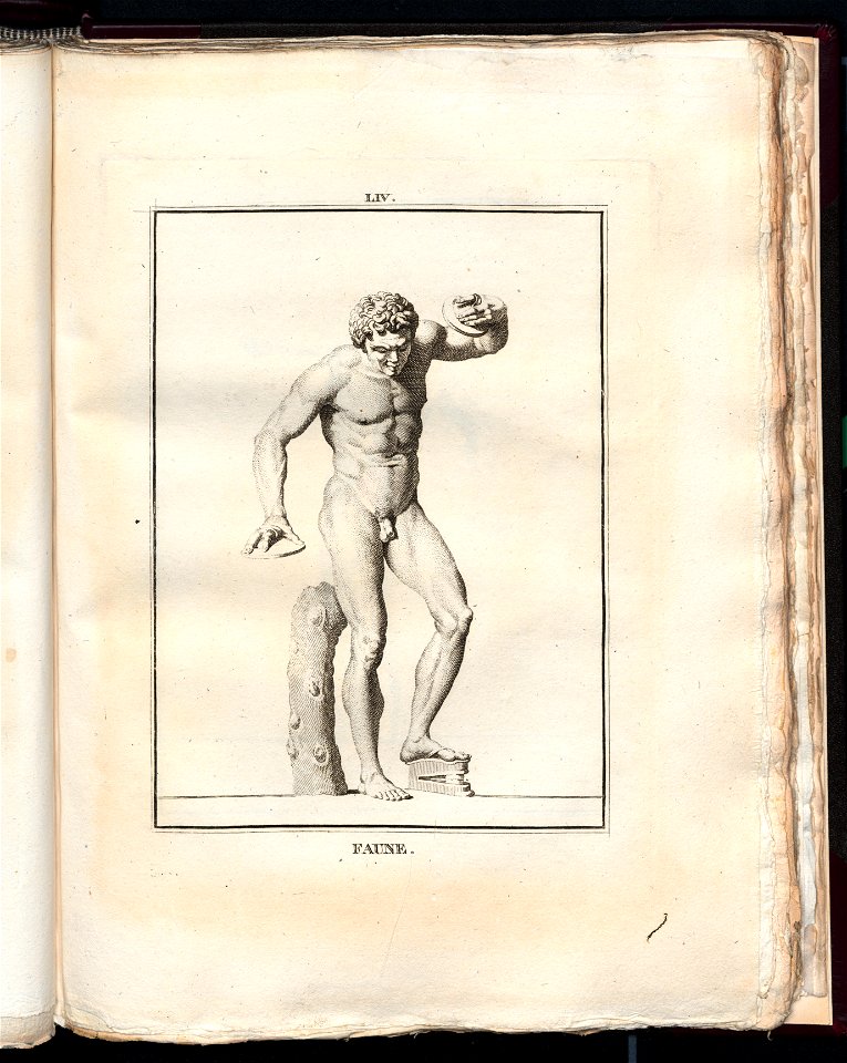 Le Museum de Florence 1787 (8163115)
