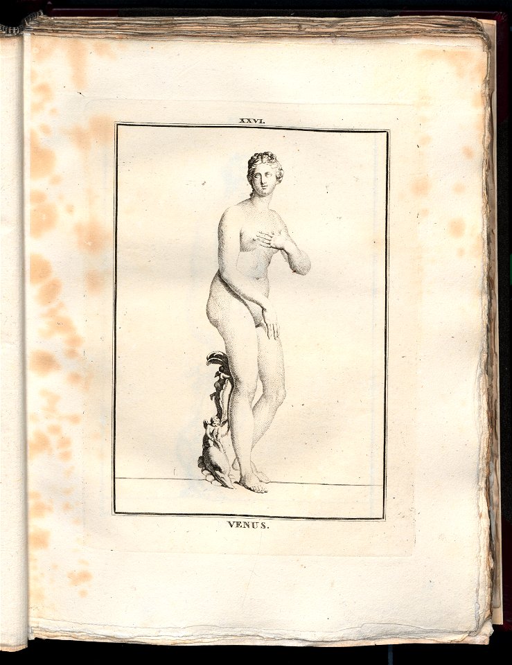 Le Museum de Florence 1787 (8162833)