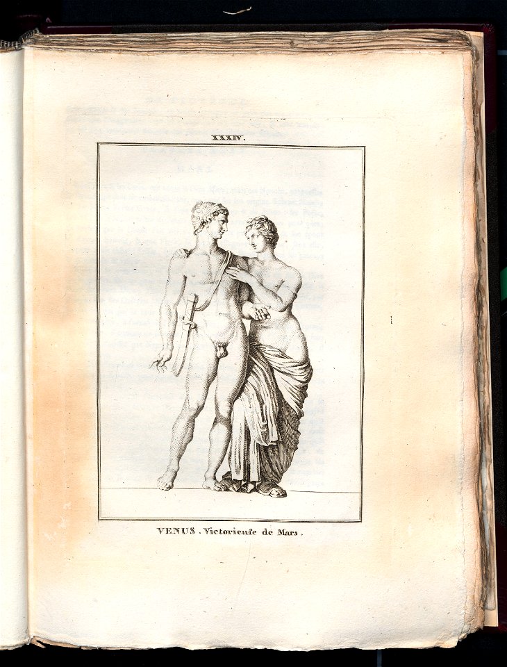 Le Museum de Florence 1787 (8162947)