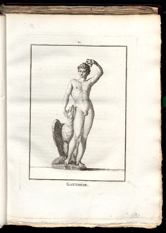 Le Museum de Florence 1787 (8162405)