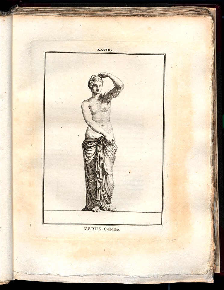 Le Museum de Florence 1787 (8162879)