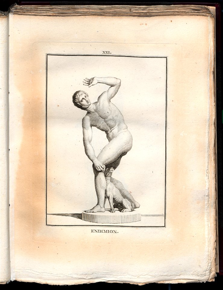Le Museum de Florence 1787 (8162742)