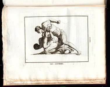 Le Museum de Florence 1787 (8163178)