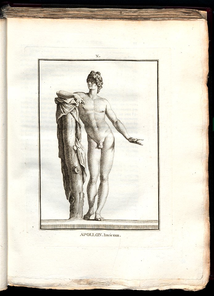 Le Museum de Florence 1787 (8162499)