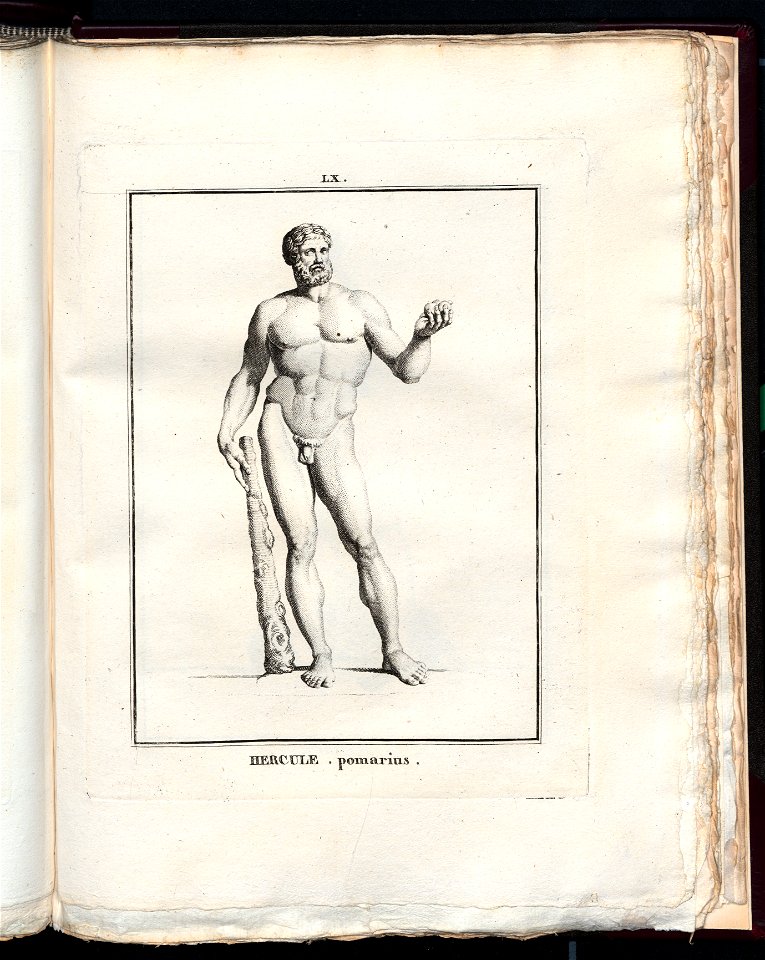 Le Museum de Florence 1787 (8163159)