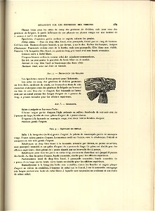 L'Armee du Duche de Varsovie 1913 (9985183)