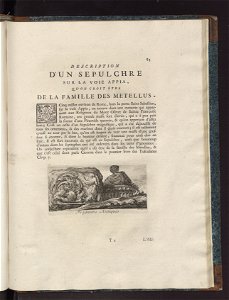 Les plus beaux monuments de la Rome ancienne 1761 (872676)